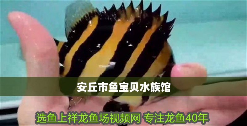 <strong><mark>安丘</mark></strong>市魚寶貝水族館