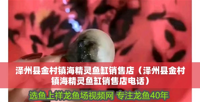 澤州縣金村鎮海精靈魚缸銷售店（澤州縣金村鎮海精靈魚缸銷售店電話）