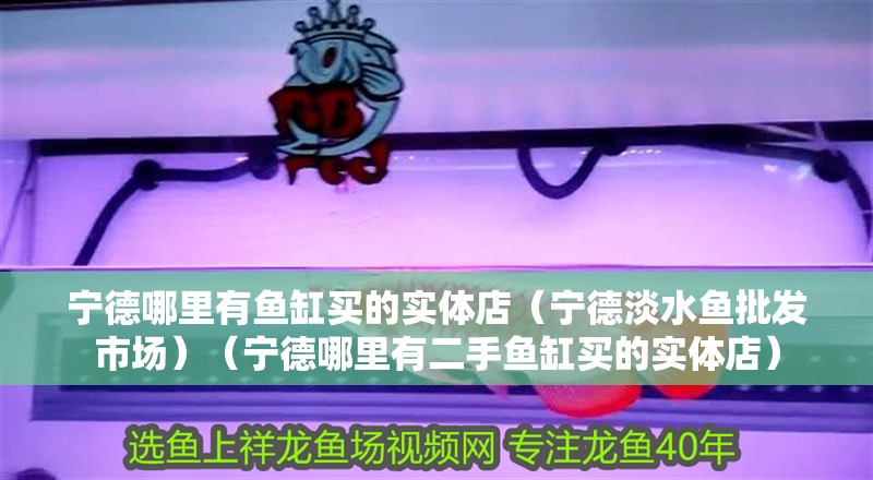 寧德哪里有魚缸買的實體店（寧德淡水魚批發(fā)市場）（寧德哪里有二手魚缸買的實體店） 寧德哪里有魚缸買的實體店（寧德淡水魚批發(fā)市場）（寧德哪里有二手魚缸買的實體店） 魚缸百科