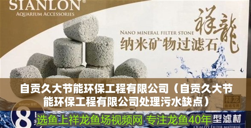 自貢久大節能環保工程有限公司（自貢久大節能環保工程有限公司處理污水缺點）
