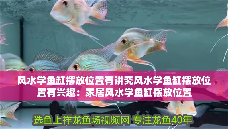風水學魚缸擺放位置有講究風水學魚缸擺放位置有興趣：家居風水學魚缸擺放位置 風水學魚缸擺放位置有講究風水學魚缸擺放位置有興趣：家居風水學魚缸擺放位置 魚缸百科