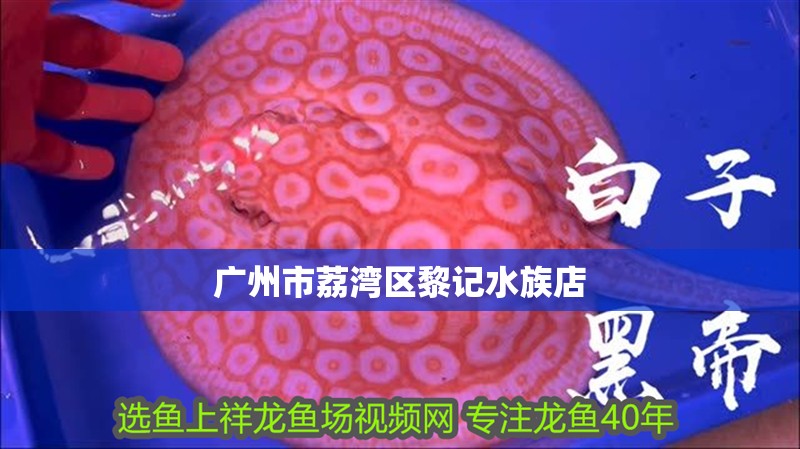 給大魚缸換水的作文:體驗給大魚缸換水的樂趣:體驗給大魚缸換水:給大魚缸換水的作文 廣州市荔灣區黎記水族店 全國水族館企業名錄 廣州市荔灣區黎記水族店 廣州市荔灣區黎記水族店 全國水族館企業名錄