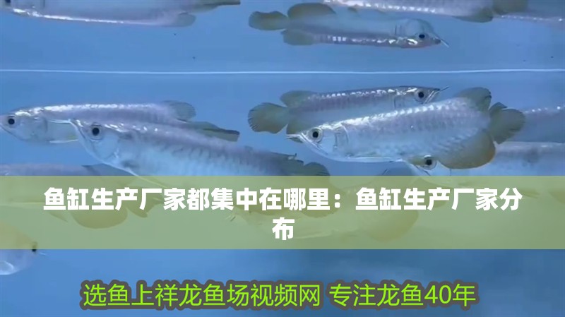魚缸生產廠家都集中在哪里：魚缸生產廠家分布