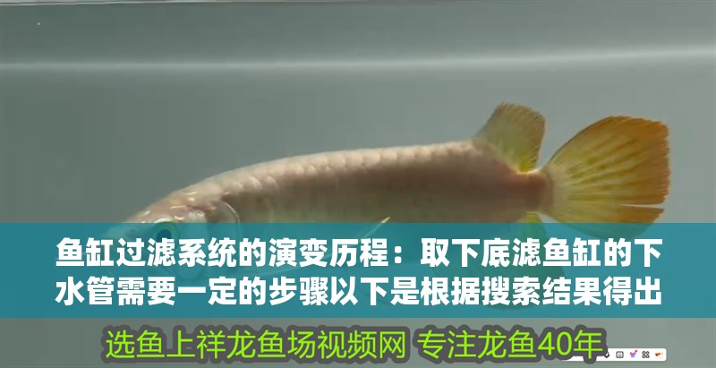 魚缸過濾系統的演變歷程：取下底濾魚缸的下水管需要一定的步驟以下是根據搜索結果得出的詳細操作過程