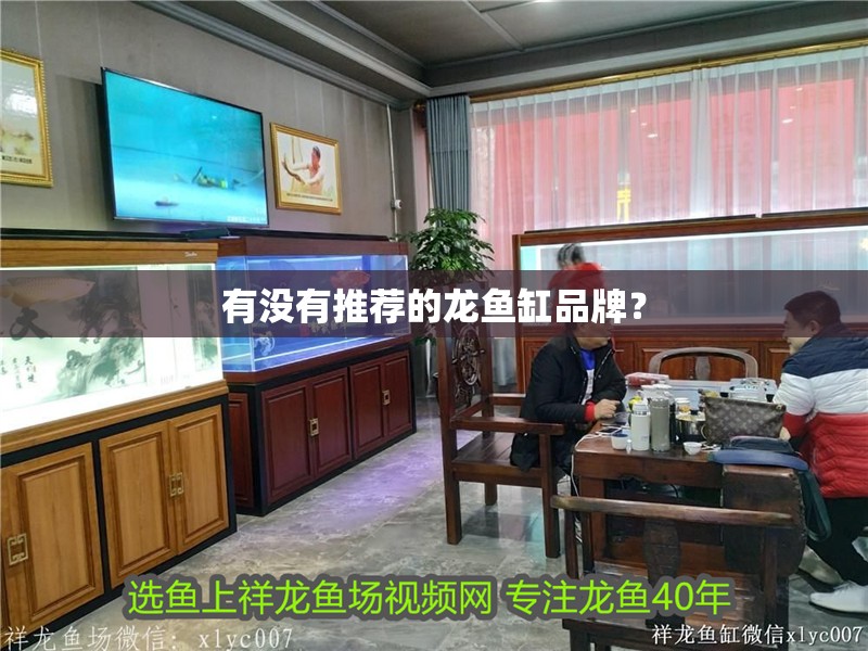 有沒有推薦的龍魚缸品牌？