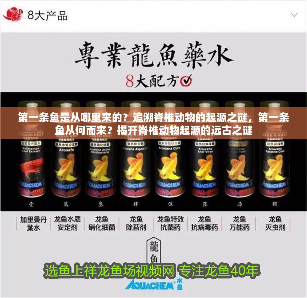 第一條魚是從哪里來的？追溯脊椎動物的起源之謎，第一條魚從何而來？揭開脊椎動物起源的遠古之謎 第一條魚是從哪里來的？追溯脊椎動物的起源之謎，第一條魚從何而來？揭開脊椎動物起源的遠古之謎 龍魚百科 第1張