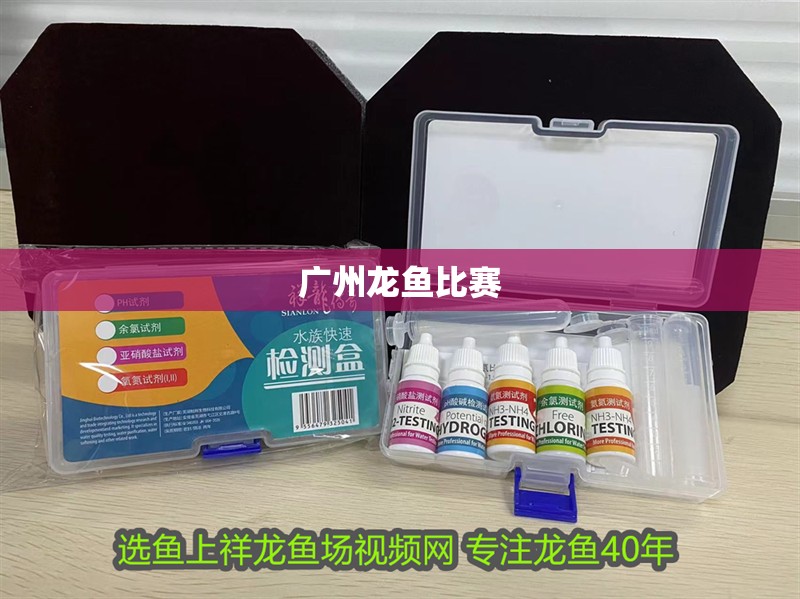廣州龍魚比賽 廣州龍魚比賽 龍魚百科