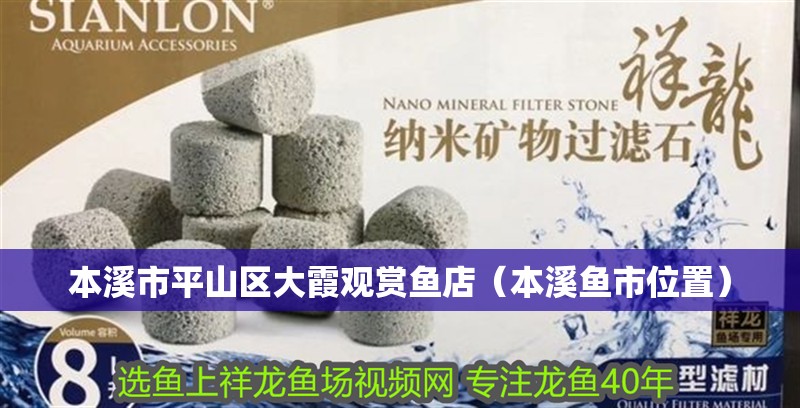 本溪市<strong><mark>平山</mark></strong>區(qū)大霞觀賞魚店（本溪魚市位置）