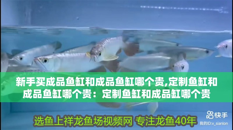 新手買成品魚缸和成品魚缸哪個貴,定制魚缸和成品魚缸哪個貴：定制魚缸和成品缸哪個貴