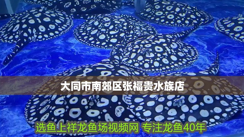 大同市<strong><mark>南郊</mark></strong>區(qū)張福貴水族店