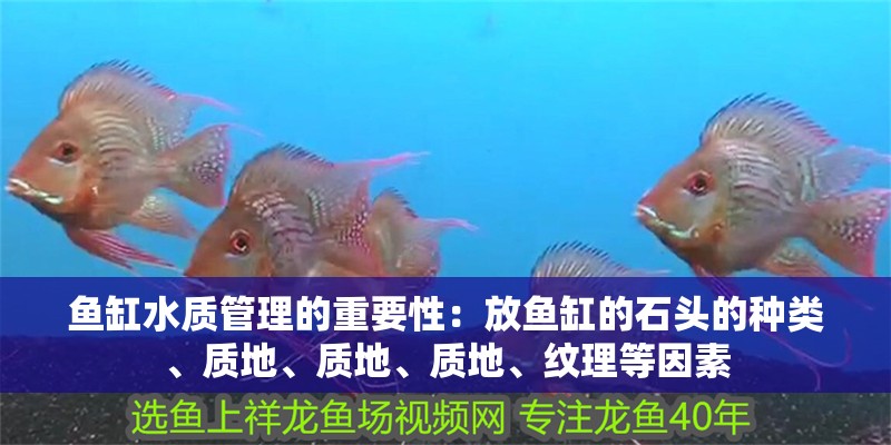 魚缸水質管理的重要性：放魚缸的石頭的種類、質地、質地、質地、紋理等因素