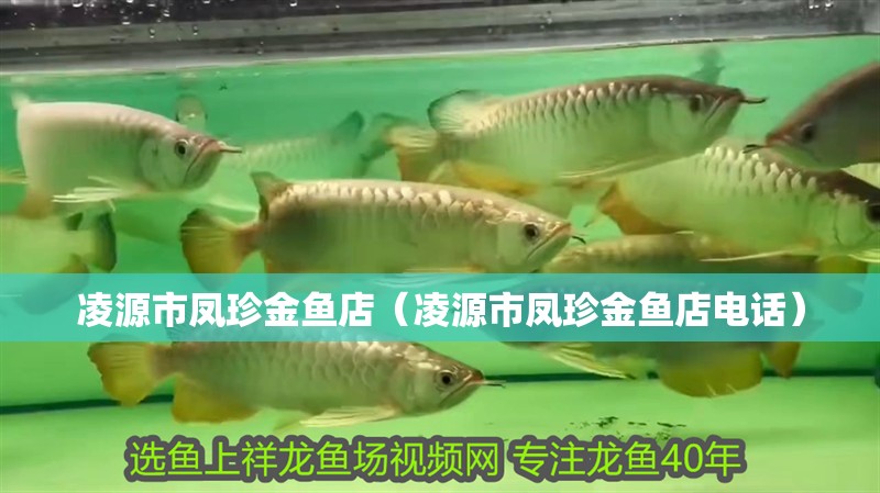 凌源市鳳珍金魚(yú)店（凌源市鳳珍金魚(yú)店電話(huà)）