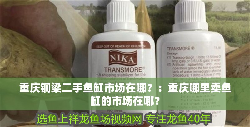 重慶銅梁二手魚缸市場在哪？：重慶哪里賣魚缸的市場在哪？