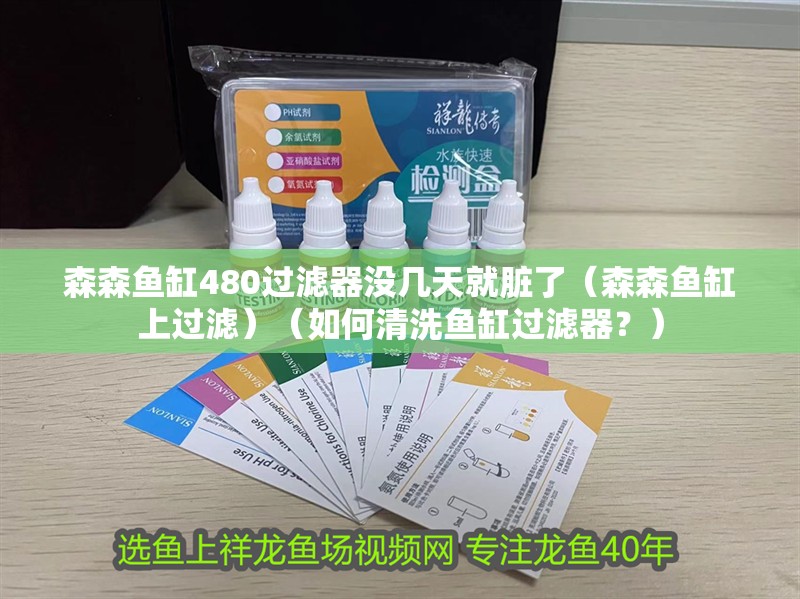 森森魚缸480過濾器沒幾天就臟了（森森魚缸上過濾）（如何清洗魚缸過濾器？）