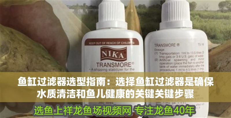 魚缸過濾器選型指南：選擇魚缸過濾器是確保水質清潔和魚兒健康的關鍵關鍵步驟