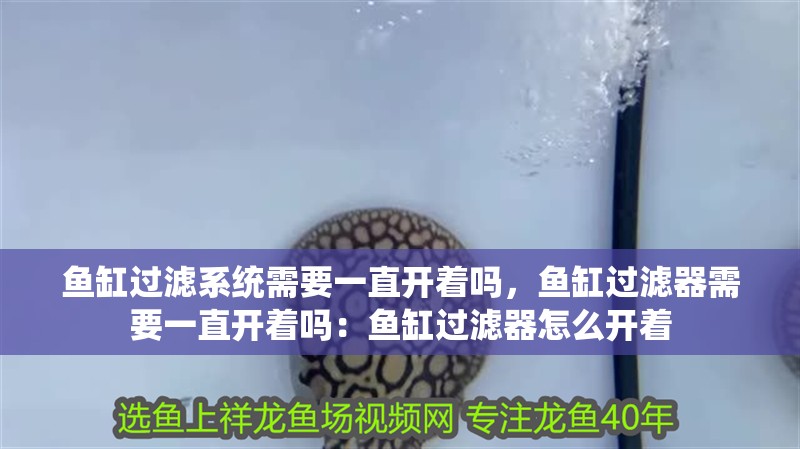 魚缸過濾系統需要一直開著嗎，魚缸過濾器需要一直開著嗎：魚缸過濾器怎么開著