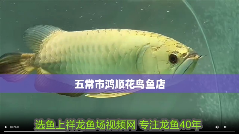 五常市鴻順花鳥魚店