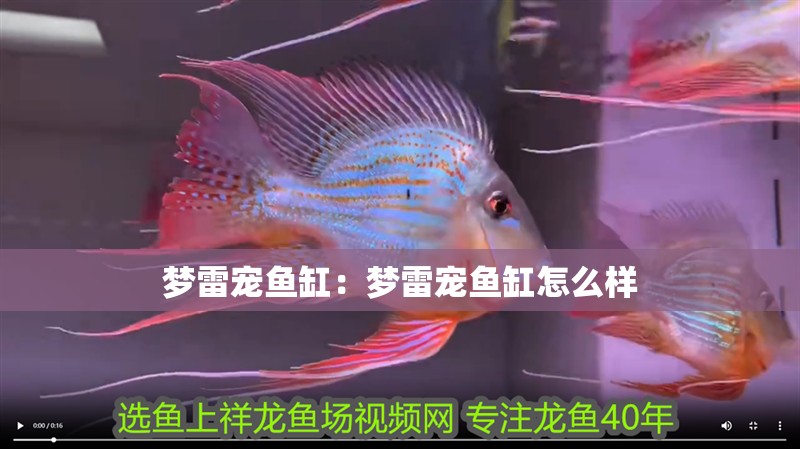 夢雷寵魚缸：夢雷寵魚缸怎么樣