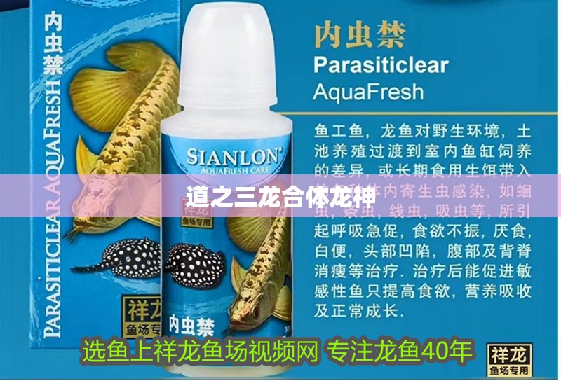 魚缸過濾器選購指南:自制魚缸過濾器魚缸上置過濾器對于養(yǎng)魚愛好者的必備知識 道之三龍合體龍神 龍魚論壇 道之三龍合體龍神 道之三龍合體龍神 龍魚論壇