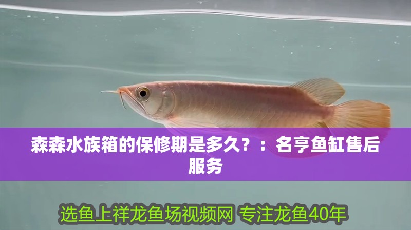 魚(yú)缸用增氧泵價(jià)格是多少:魚(yú)缸增氧機(jī)-xtrac增氧機(jī)-xtrac增氧機(jī) 森森水族箱的保修期是多久?:名亨魚(yú)缸售后服務(wù) 魚(yú)缸百科 森森水族箱的保修期是多久?:名亨魚(yú)缸售后服務(wù) 森森水族箱的保修期是多久?:名亨魚(yú)缸售后服務(wù) 魚(yú)缸百科