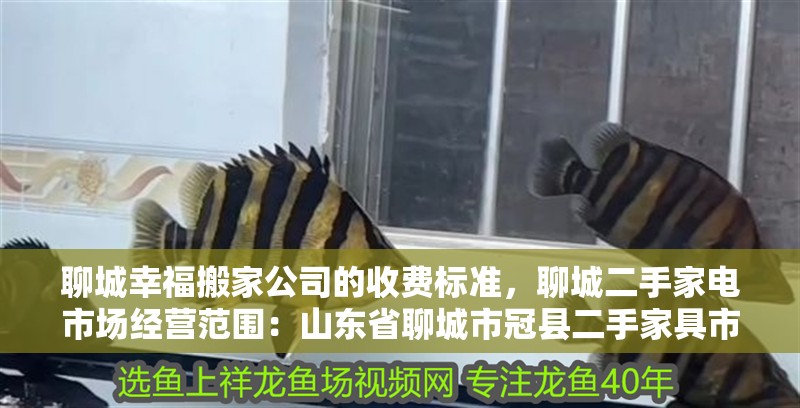 <strong><mark>聊城</mark></strong>幸福搬家公司的收費(fèi)標(biāo)準(zhǔn)，<strong><mark>聊城</mark></strong>二手家電市場經(jīng)營范圍：山東省<strong><mark>聊城</mark></strong>市冠縣二手家具市場