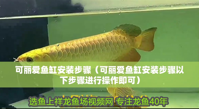 可麗愛魚缸安裝步驟（可麗愛魚缸安裝步驟以下步驟進(jìn)行操作即可）