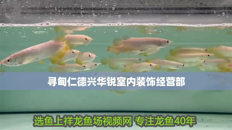 尋甸仁德興華銳室內裝飾經營部