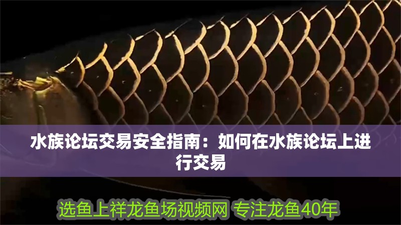 水族論壇交易安全指南：如何在水族論壇上進行交易