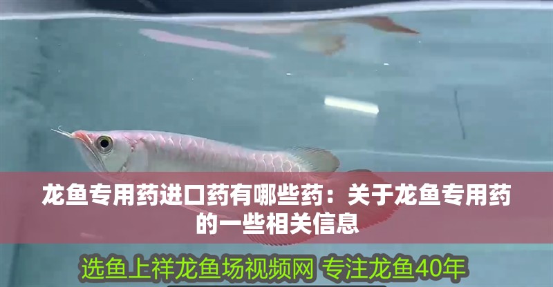 龍魚專用藥進口藥有哪些藥：關于龍魚專用藥的一些相關信息