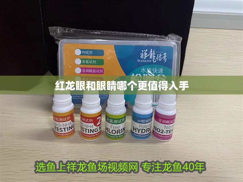 紅龍眼和眼睛哪個更值得入手