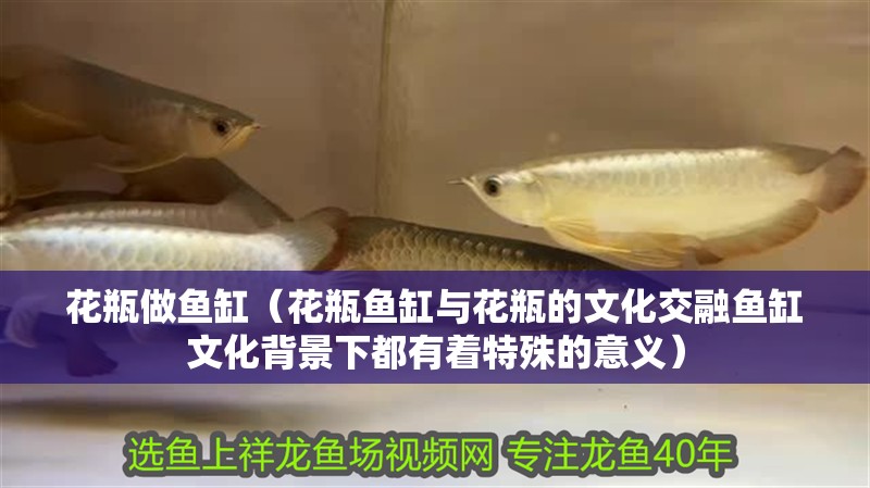 花瓶做魚缸（花瓶魚缸與花瓶的文化交融魚缸文化背景下都有著特殊的意義） 花瓶做魚缸（花瓶魚缸與花瓶的文化交融魚缸文化背景下都有著特殊的意義） 魚缸百科