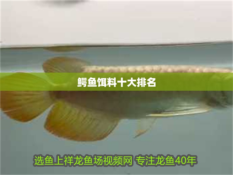 魚(yú)缸用增氧泵價(jià)格是多少:魚(yú)缸增氧機(jī)-xtrac增氧機(jī)-xtrac增氧機(jī) 鱷魚(yú)餌料十大排名 龍魚(yú)論壇 鱷魚(yú)餌料十大排名 鱷魚(yú)餌料十大排名 龍魚(yú)論壇