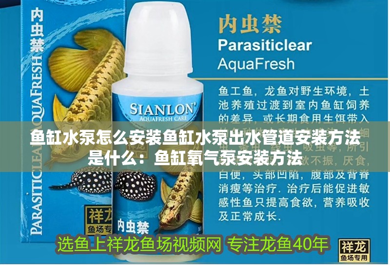 魚缸水泵怎么安裝魚缸水泵出水管道安裝方法是什么：魚缸氧氣泵安裝方法