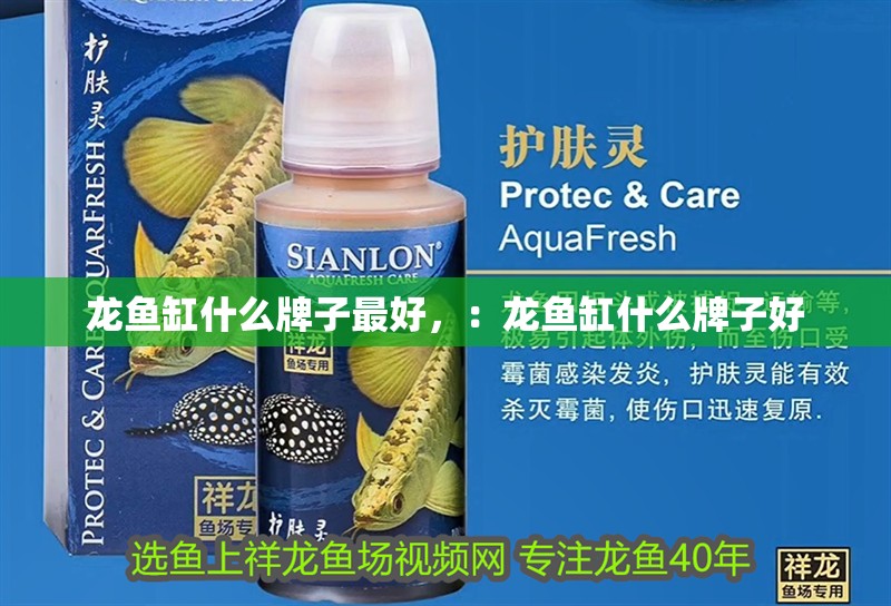 魚缸用增氧泵價格是多少:魚缸增氧機-xtrac增氧機-xtrac增氧機 龍魚缸什么牌子最好,:龍魚缸什么牌子好 龍魚百科 龍魚缸什么牌子最好,:龍魚缸什么牌子好 龍魚缸什么牌子最好,:龍魚缸什么牌子好 龍魚百科