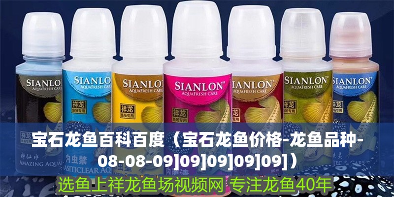 寶石龍魚百科百度（寶石龍魚價格-龍魚品種-08-08-09]09]09]09]09]）