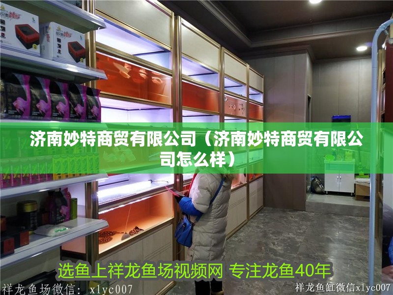 濟南妙特商貿有限公司（濟南妙特商貿有限公司怎么樣）