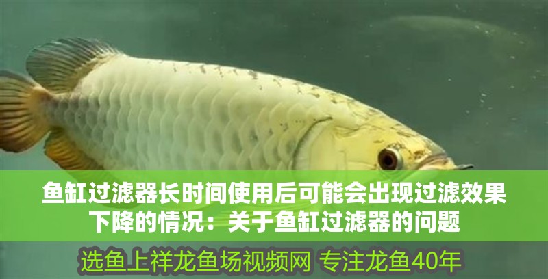 魚缸過濾器長時間使用后可能會出現過濾效果下降的情況：關于魚缸過濾器的問題