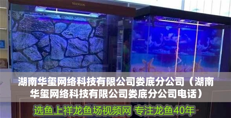 湖南華璽網(wǎng)絡(luò)科技有限公司婁底分公司（湖南華璽網(wǎng)絡(luò)科技有限公司婁底分公司電話）