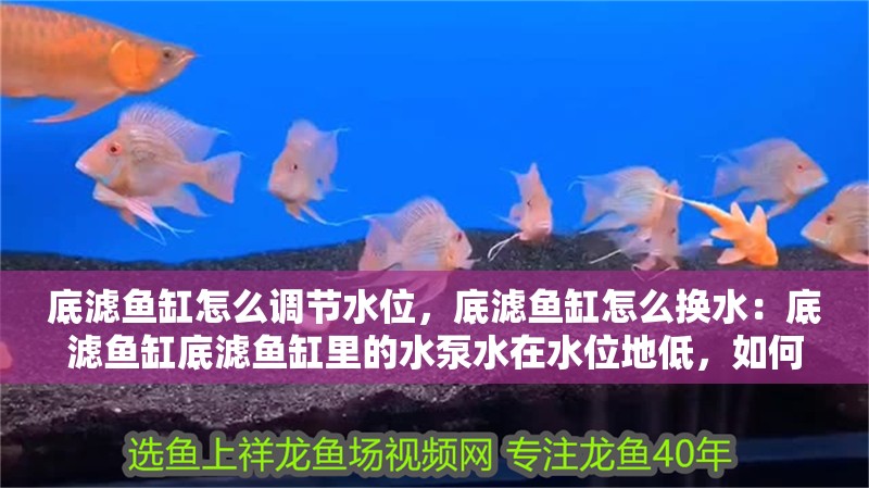 底濾魚缸怎么調節水位，底濾魚缸怎么換水：底濾魚缸底濾魚缸里的水泵水在水位地低，如何解決