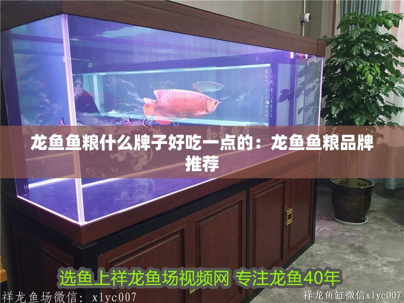 龍魚魚糧什么牌子好吃一點的：龍魚魚糧品牌推薦