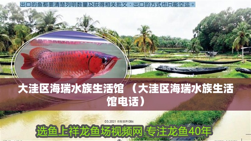 大洼區海瑞水族生活館 （大洼區海瑞水族生活館電話）