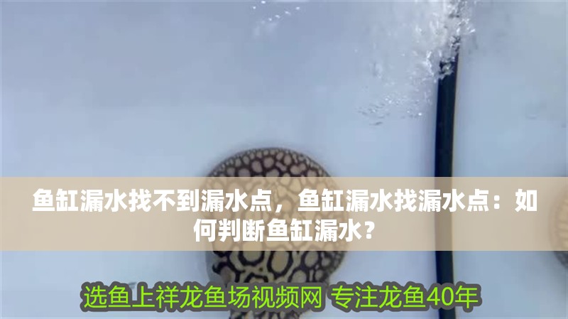 魚缸漏水找不到漏水點，魚缸漏水找漏水點：如何判斷魚缸漏水？