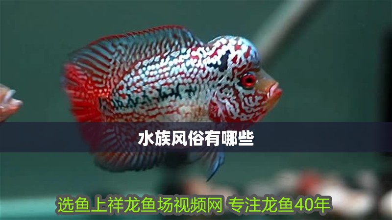 水族風(fēng)俗有哪些