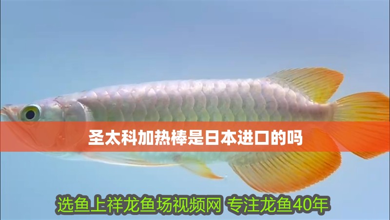 圣太科加熱棒是日本進口的嗎 圣太科加熱棒是日本進口的嗎 龍魚論壇