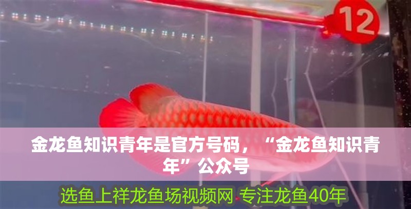 金龍魚知識青年是官方號碼，“金龍魚知識青年”公眾號
