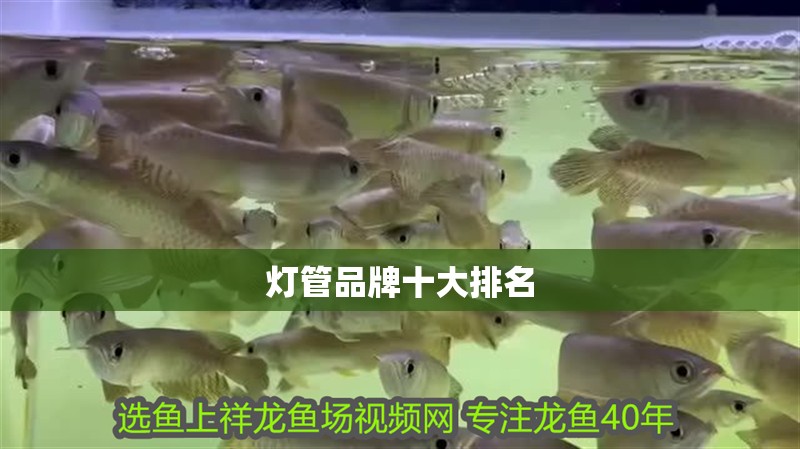 燈管品牌十大排名