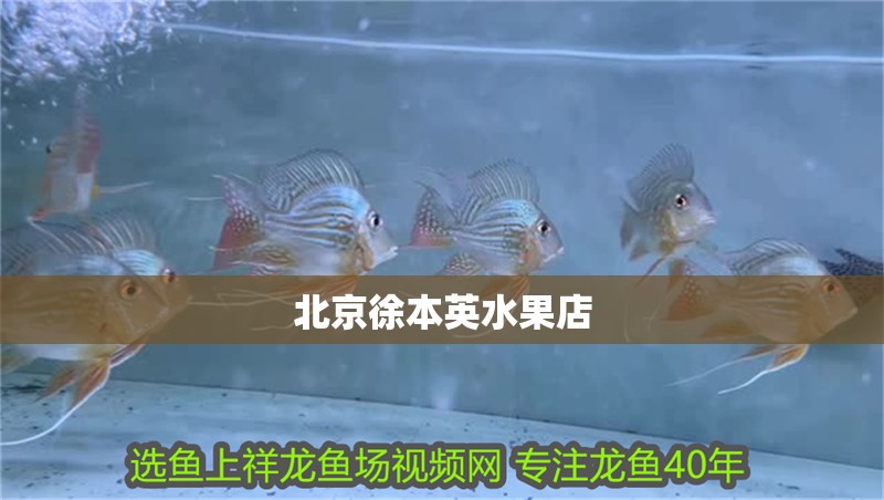 <strong><mark>北京</mark></strong>徐本英水果店