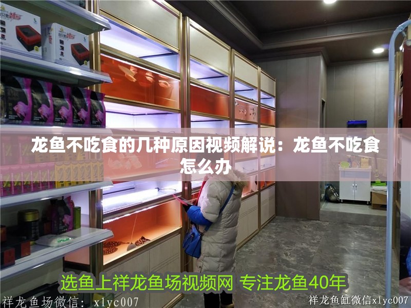 龍魚不吃食的幾種原因視頻解說：龍魚不吃食怎么辦