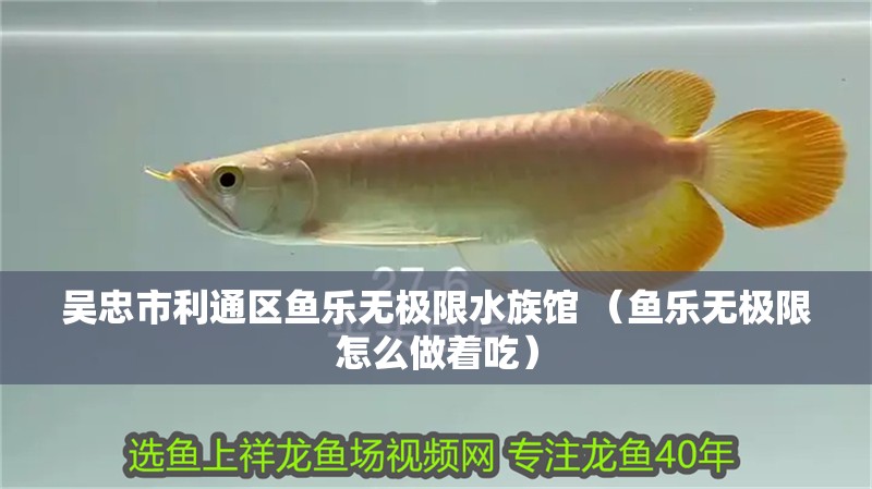 吳忠市利通區魚樂無極限水族館 （魚樂無極限怎么做著吃）