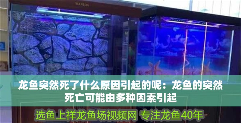 龍魚突然死了什么原因引起的呢：龍魚的突然死亡可能由多種因素引起